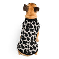 Black & White Cow Print Knitted Dog Sweater