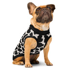 Dog wearing a black and white patterned sweater on a white background